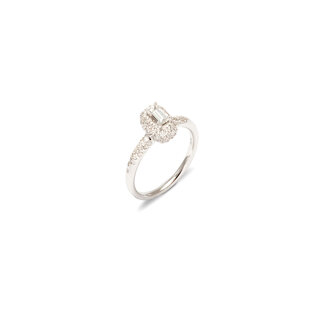 AMALFI COLLECTION
