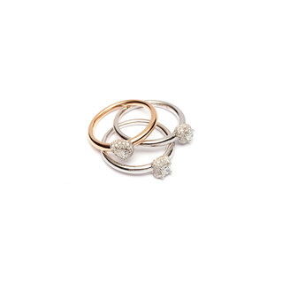 AMALFI COLLECTION