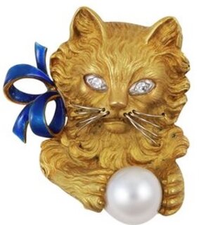 SPILLA GATTO