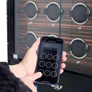 Roadster Watch Winder Cabinet Collection