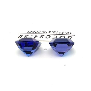 Square EC Tanzanite Pair 24.20 cts